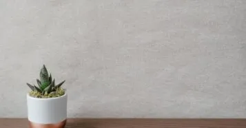 Como decorar vasos de plantas e transformar seu espaço