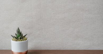 Como decorar vasos de plantas e transformar seu espaço